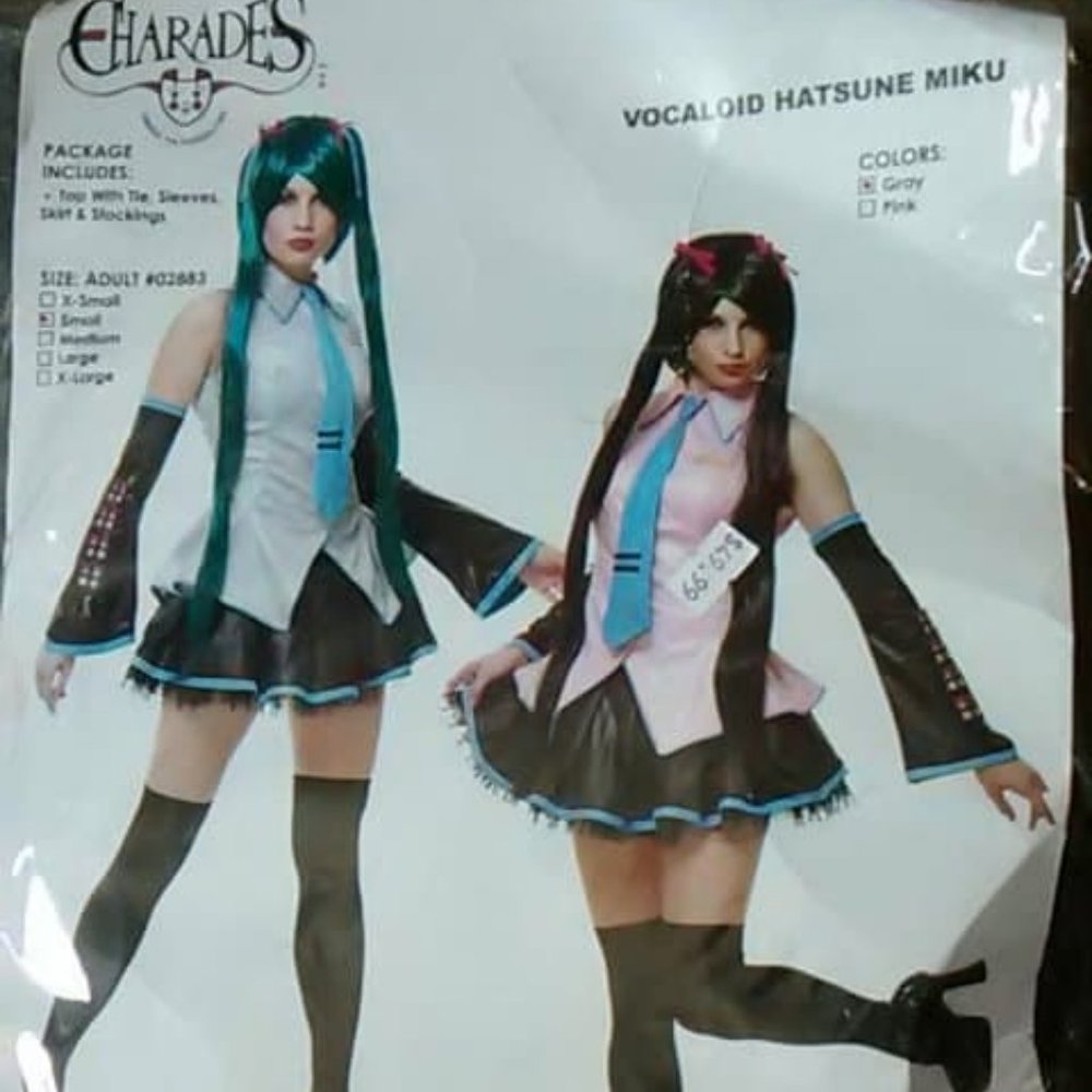 Charades Hatsune Miku Costume (Grey, Small)